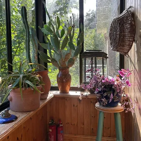Riverside Casita